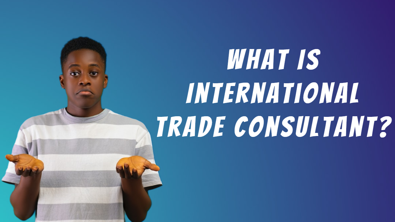 International Trade Consultant