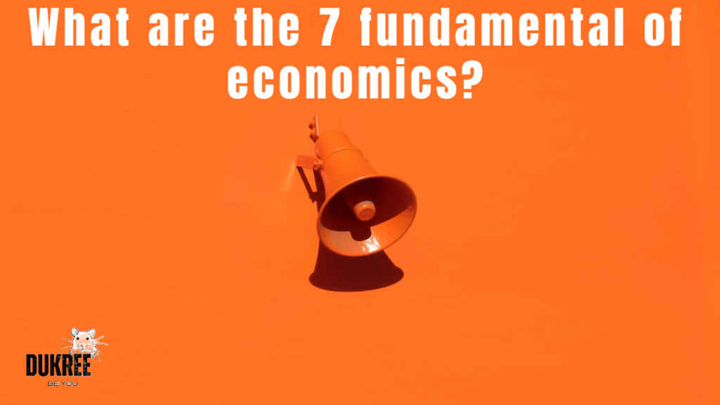 What are the 7 fundamental of economics?
