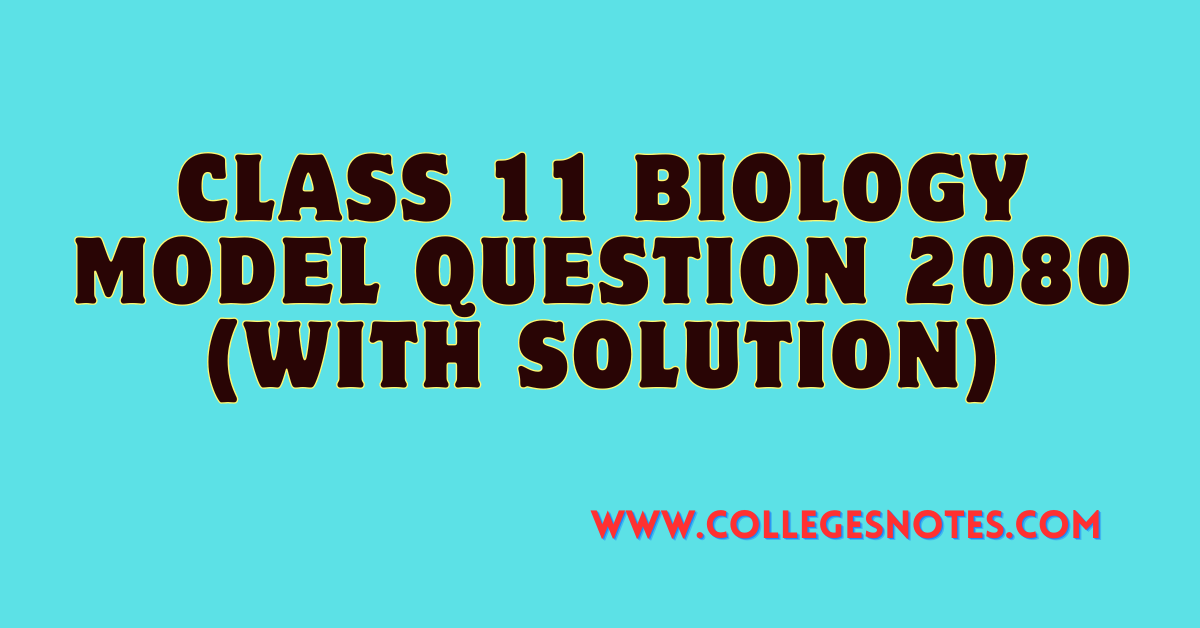 Class 11 Biology Model Question 2080 (With Solution)